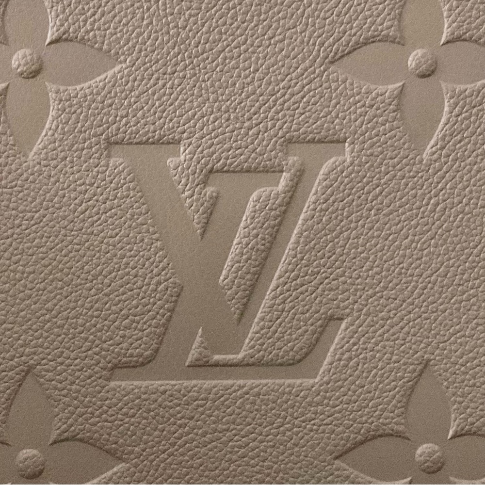 Louis Vuitton Pouch - Picture 10 of 11